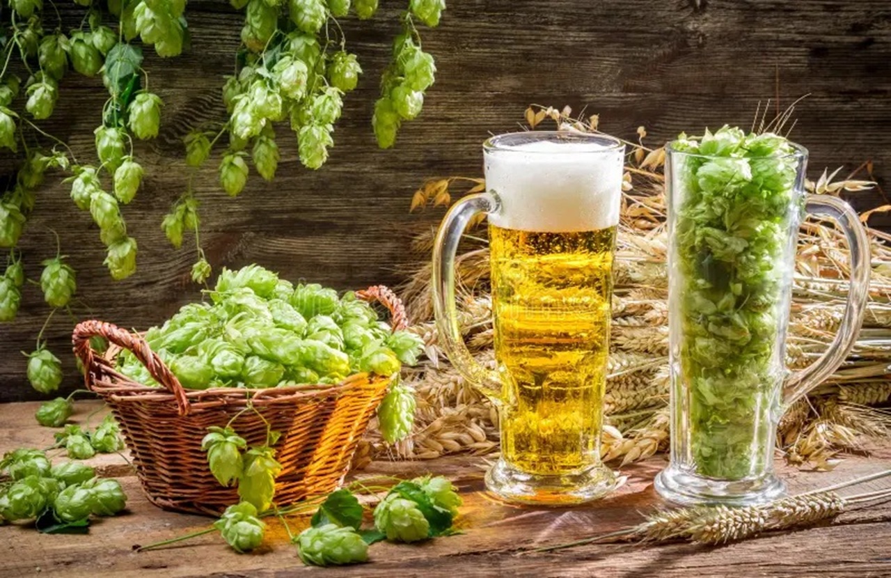 Malt & Grain Handling