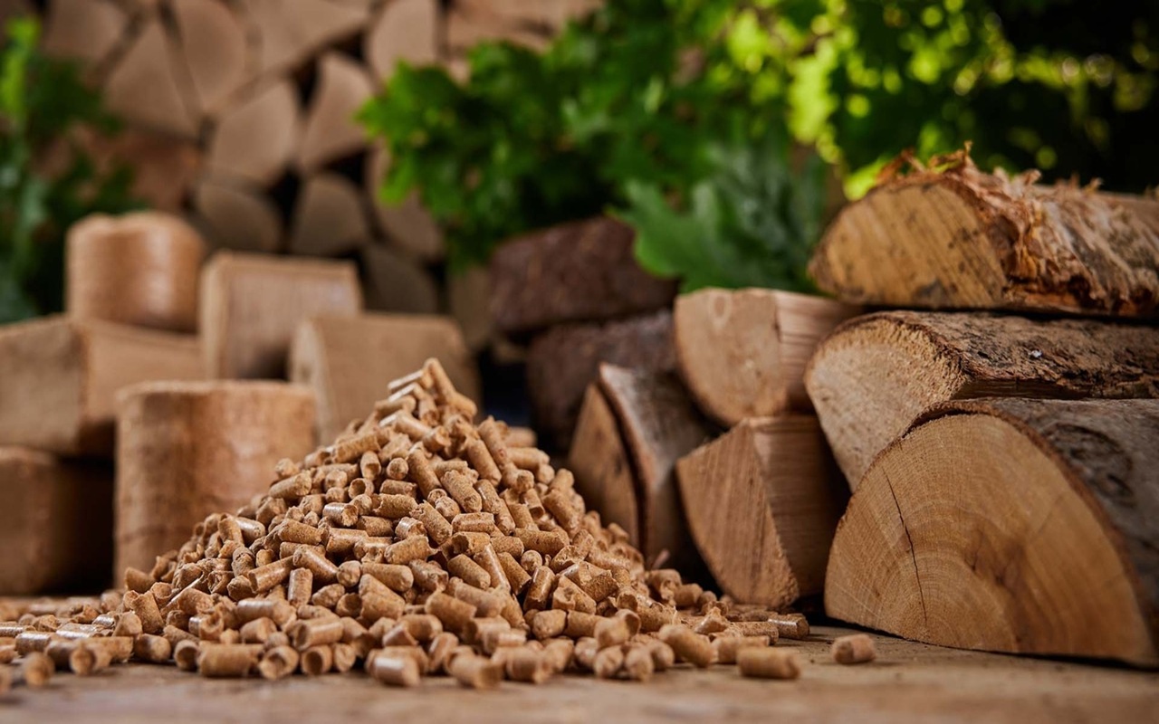 Biomass & Alternative Fuels