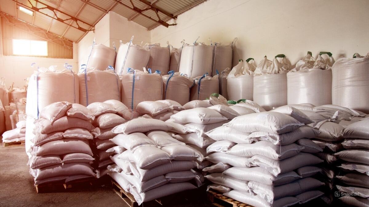 Valve Bag Filling Machines